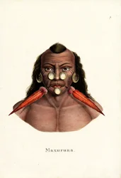 Peruánský Indián, 1824